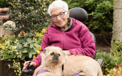 Preventing Dementia