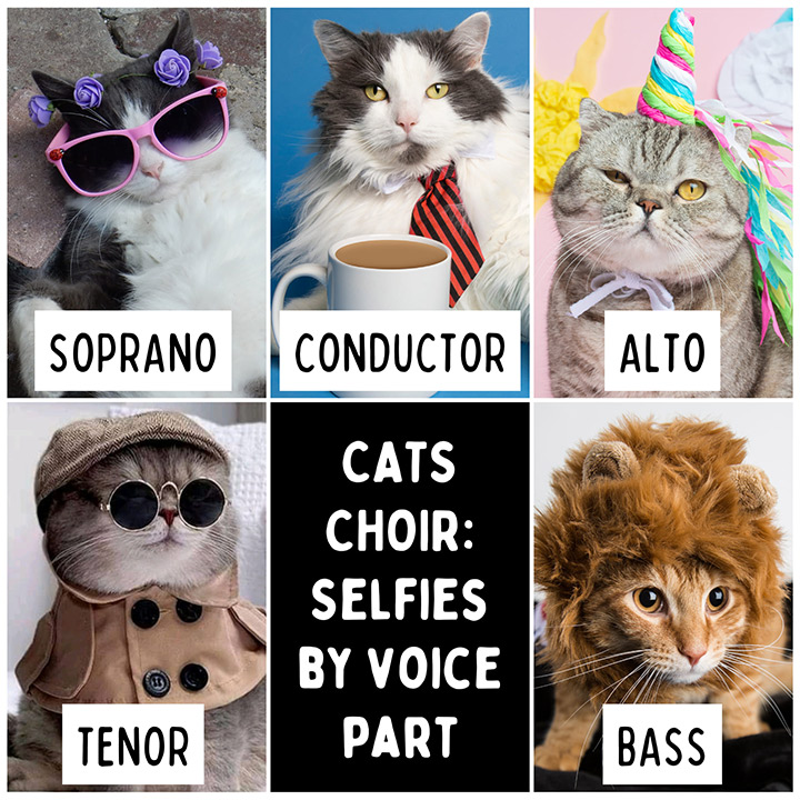 Cat Choir